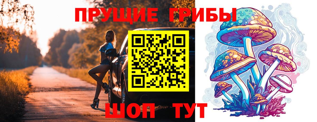 Псилоцибиновые грибы Psilocybine cubensis Псков